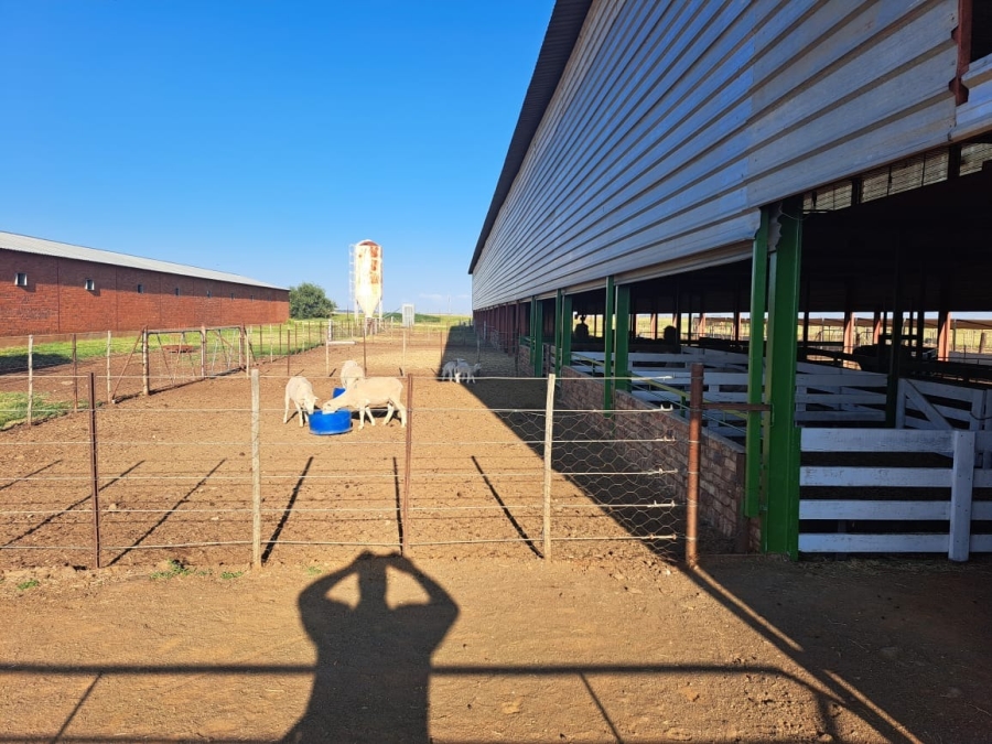 13 Bedroom Property for Sale in Soutpan Free State